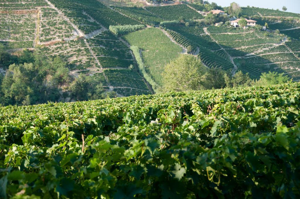Cadgal - Tenuta Valdivilla Bauernhof Santo Stefano Belbo